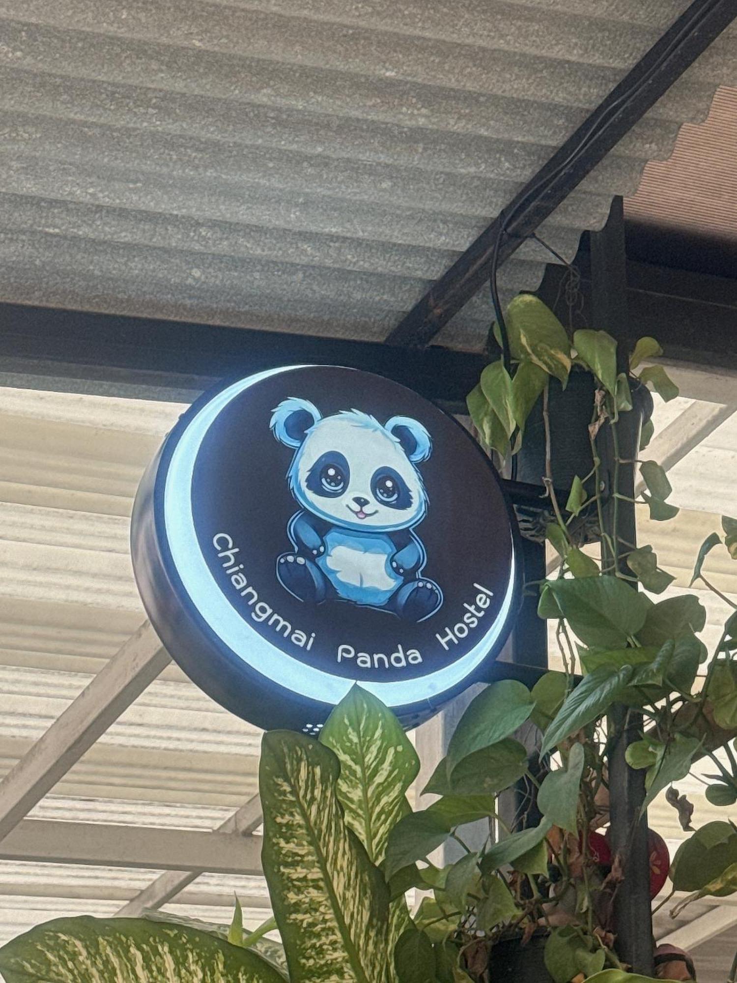 Chiang Mai Panda Hostel Exteriör bild