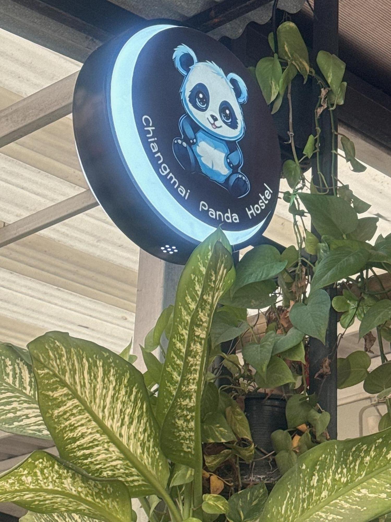 Chiang Mai Panda Hostel Exteriör bild